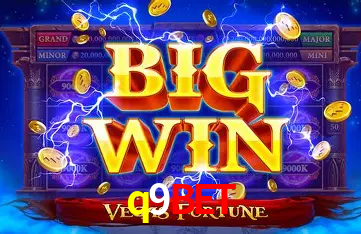 Security Systems q9bet